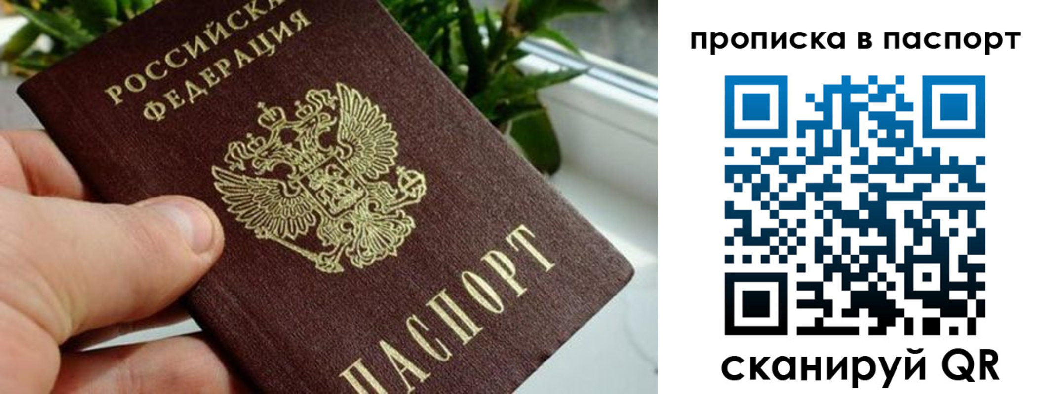 пропишу в квартире в Гусеве
